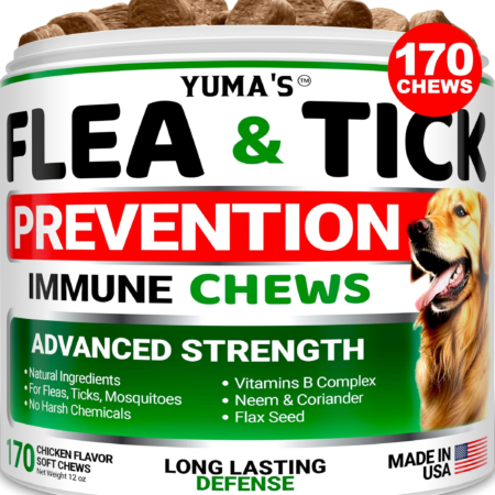 Flea and Tick Prevention for Dogs